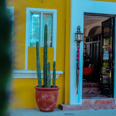 埃尔恩坎托酒店及套房 San José del Cabo 外观 照片