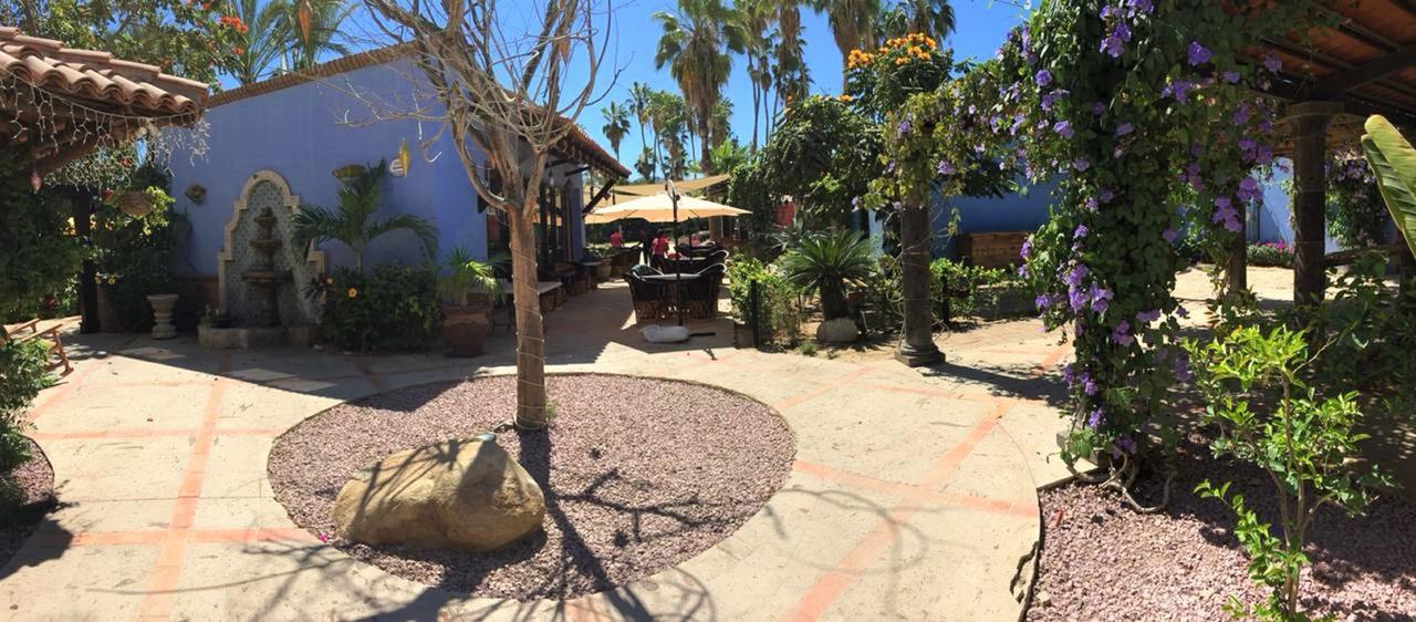 埃尔恩坎托酒店及套房 San José del Cabo 外观 照片