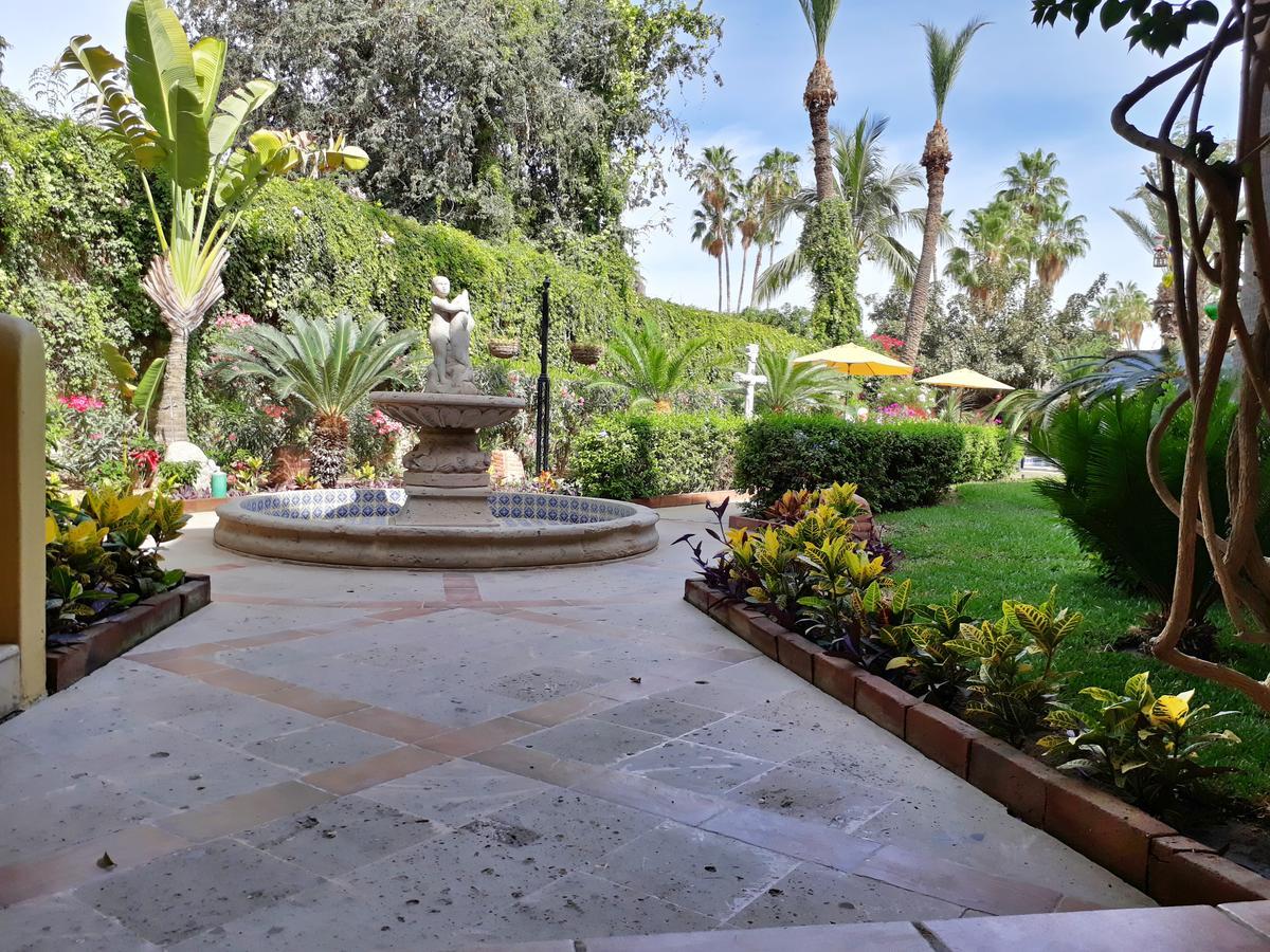 埃尔恩坎托酒店及套房 San José del Cabo 外观 照片