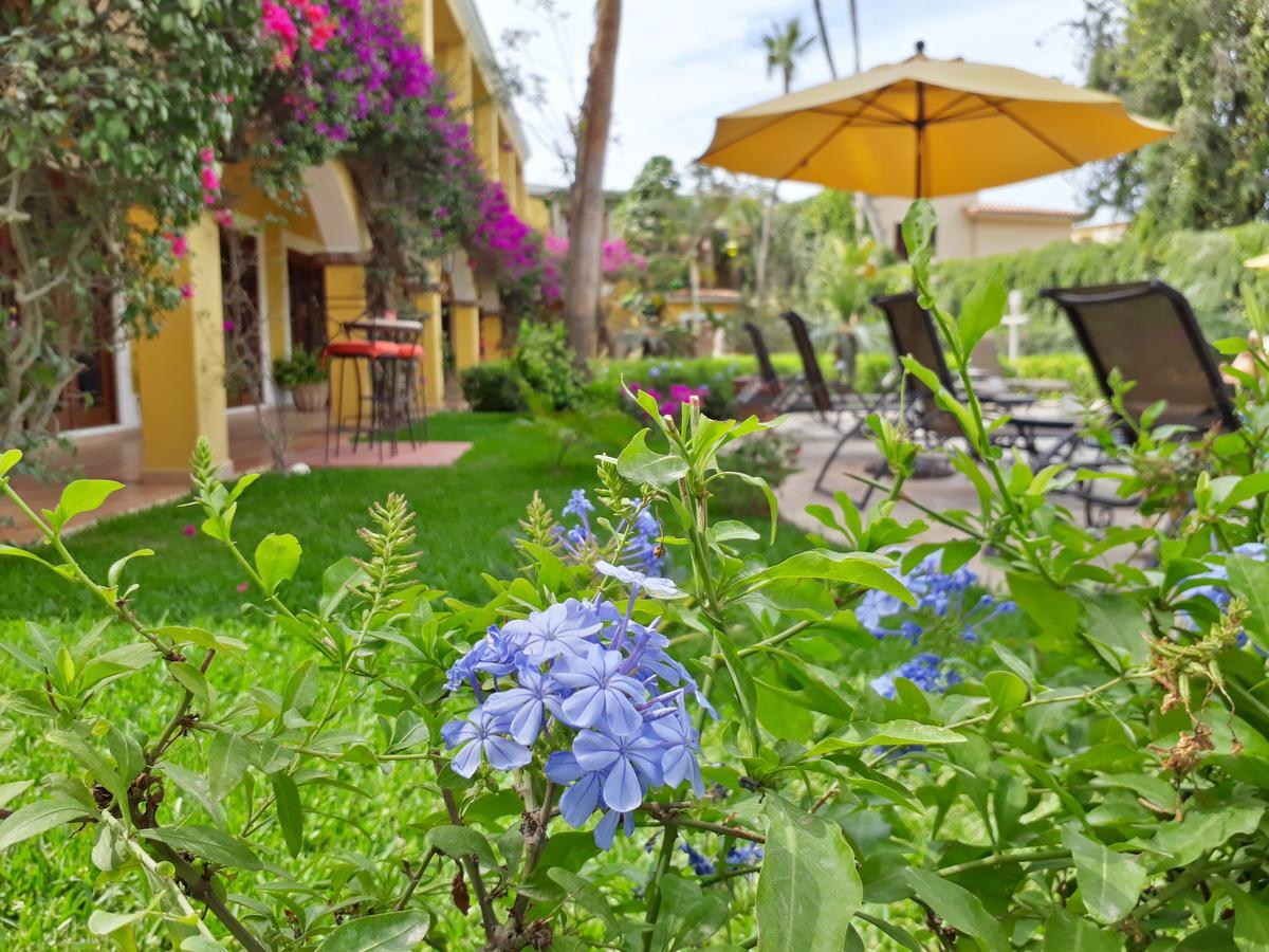 埃尔恩坎托酒店及套房 San José del Cabo 外观 照片